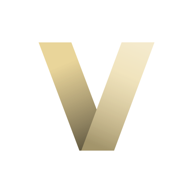 Vote360 Logo